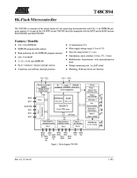 Datasheet T48C894TN manufacturer ATMEL