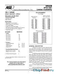 Datasheet MT5C1001C-25L/XT manufacturer Austin