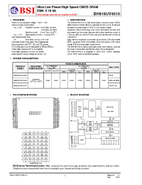 Datasheet BH616UV4010 manufacturer BSI