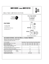 Datasheet BR1005 manufacturer Bytes