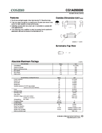 Datasheet CG1A090000 manufacturer COSMO