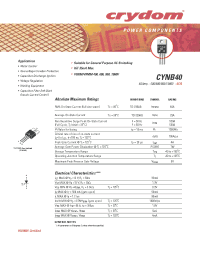 Datasheet CYNB40 manufacturer Неопределенные