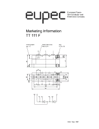 Datasheet DT111F manufacturer Eupec