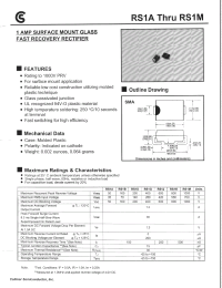 Datasheet RS1A manufacturer Fuji