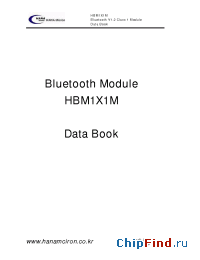 Datasheet HBM1X1M manufacturer Hanamicron