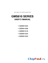 Datasheet GMS81016 manufacturer Hynix