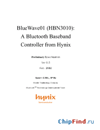 Datasheet HBN3010 manufacturer Hynix