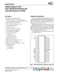 Datasheet IC89LV51A-12PQ manufacturer ICSI