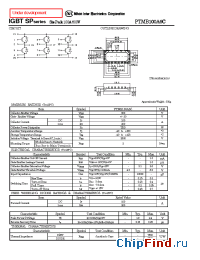 Datasheet PTMB100A6C manufacturer NIEC