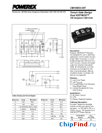 Datasheet CM100DU-24F manufacturer Powerex