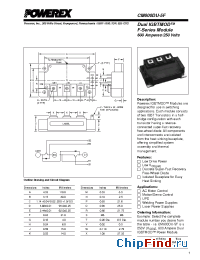 Datasheet CM600DU-5F manufacturer Powerex