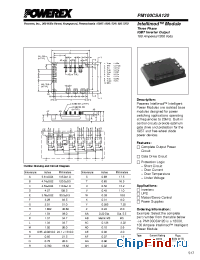 Datasheet PM100CSA120 manufacturer Powerex