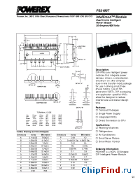 Datasheet PS21867 manufacturer Powerex