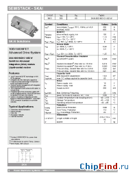 Datasheet SKAI6001MD101452W manufacturer Semikron