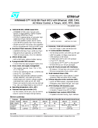 Datasheet ARM966E-S manufacturer STMicroelectronics