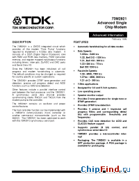 Datasheet 73M2921-IG manufacturer TDK